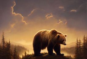 雄伟的熊俯瞰着美丽的森林