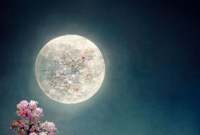 中秋节的樱花林和白色的月亮