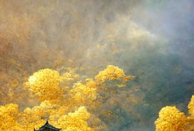 中国的皇宫被金色的玫瑰云所包围