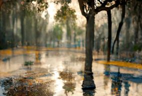 西班牙公园倒映在潮湿的地板上