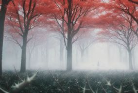 雾光枫林