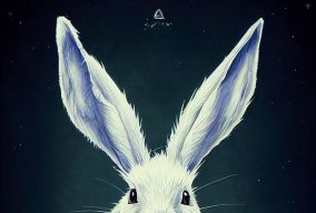 神奇的白兔子